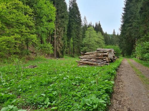 20250505 JulincinoUdoli2