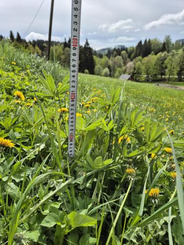 20250505 ricky machacek-2