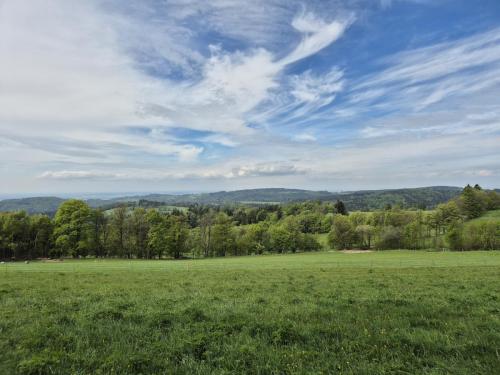 20250506 jedlova matous-2